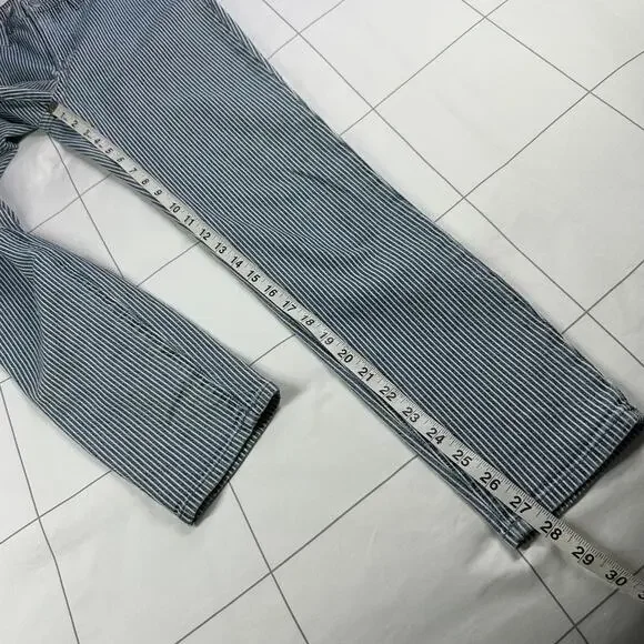 Madewell Jeans Womens 27 Blue White Piper Striped 9" Mid Rise Skinny Railroad - Picture 10 of 12